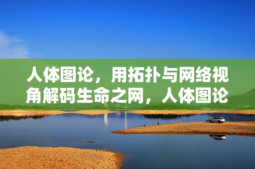 人体图论，用拓扑与网络视角解码生命之网，人体图论，拓扑网络解码生命之网
