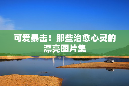 可爱暴击！那些治愈心灵的漂亮图片集