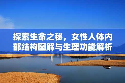 探索生命之秘，女性人体内部结构图解与生理功能解析，探索生命之秘，女性人体结构图解与生理功能