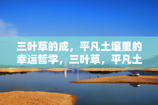 三叶草的成，平凡土壤里的幸运哲学，三叶草，平凡土壤里的幸运哲学