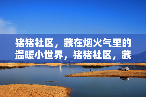 猪猪社区，藏在烟火气里的温暖小世界，猪猪社区，藏在烟火气里的温暖小世界