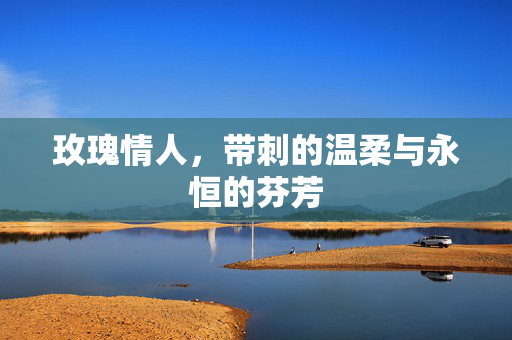 玫瑰情人，带刺的温柔与永恒的芬芳