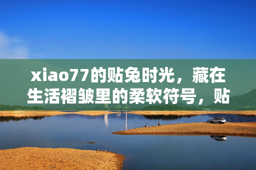 xiao77的贴兔时光，藏在生活褶皱里的柔软符号，贴兔，生活褶皱里的柔软符号