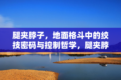 腿夹脖子，地面格斗中的绞技密码与控制哲学，腿夹脖子，地面绞技的密码与控制哲学