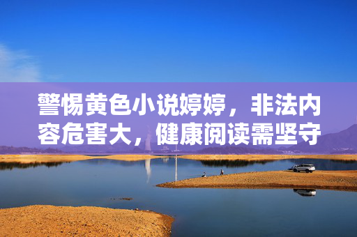 警惕黄色小说婷婷，非法内容危害大，健康阅读需坚守底线，警惕黄色小说婷婷，非法内容危害大，健康阅读守底线