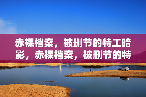 赤裸档案，被删节的特工暗影，赤裸档案，被删节的特工暗影