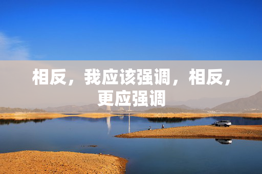 相反，我应该强调，相反，更应强调