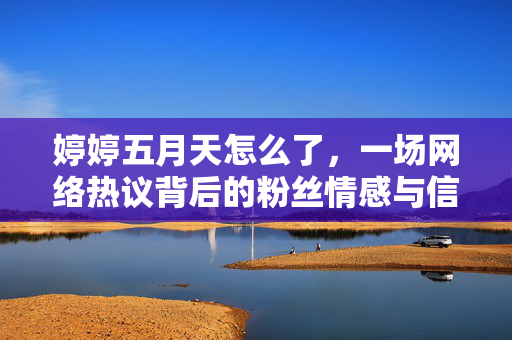婷婷五月天怎么了，一场网络热议背后的粉丝情感与信息迷雾，婷婷五月天热议背后，粉丝情感与信息迷雾