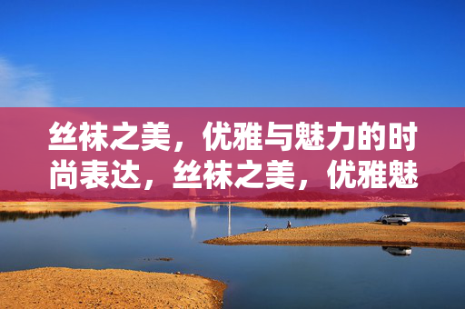 丝袜之美，优雅与魅力的时尚表达，丝袜之美，优雅魅力的时尚