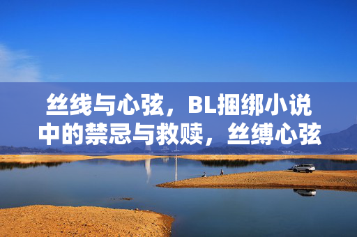 丝线与心弦，BL捆绑小说中的禁忌与救赎，丝缚心弦，BL捆绑中的禁忌救赎