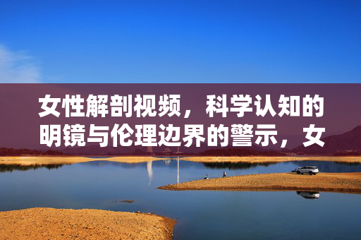 女性解剖视频，科学认知的明镜与伦理边界的警示，女性解剖视频，科学认知之镜与伦理边界警示
