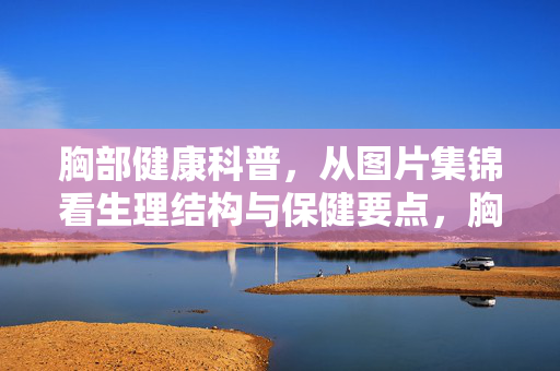 胸部健康科普，从图片集锦看生理结构与保健要点，胸部健康科普，图解生理结构与保健要点