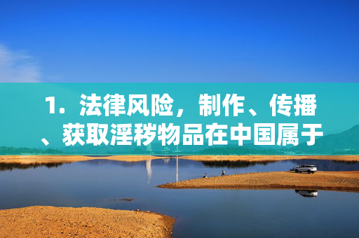 1.  法律风险，制作、传播、获取淫秽物品在中国属于违法行为，将面临法律制裁