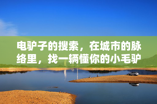 电驴子的搜索，在城市的脉络里，找一辆懂你的小毛驴，城市脉络里的懂你电驴