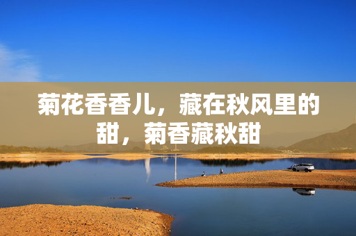 菊花香香儿，藏在秋风里的甜，菊香藏秋甜