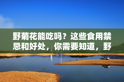 野菊花能吃吗？这些食用禁忌和好处，你需要知道，野菊花能吃吗？禁忌与好处须知