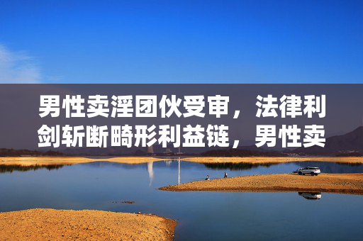 男性卖淫团伙受审，法律利剑斩断畸形利益链，男性卖淫团伙受审，法律利剑斩断畸形利益链