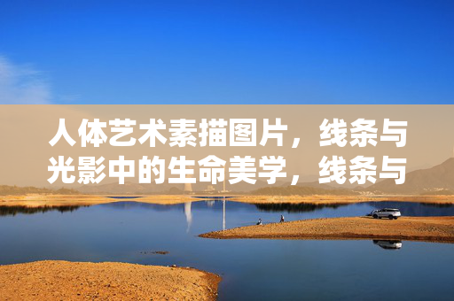 人体艺术素描图片，线条与光影中的生命美学，线条与光影，人体艺术素描的生命美学