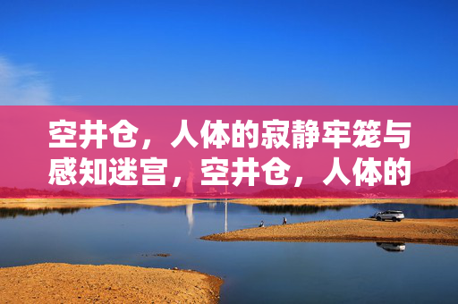 空井仓，人体的寂静牢笼与感知迷宫，空井仓，人体的寂静牢笼与感知迷宫
