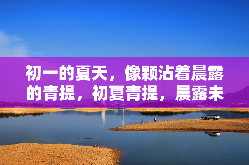 初一的夏天，像颗沾着晨露的青提，初夏青提，晨露未晞
