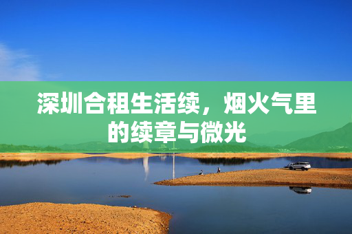 深圳合租生活续，烟火气里的续章与微光