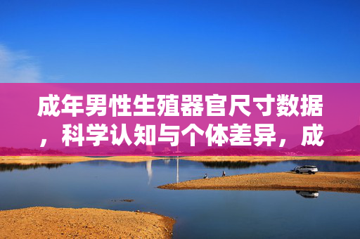 成年男性生殖器官尺寸数据，科学认知与个体差异，成年男性生殖器官尺寸，科学数据与个体差异认知
