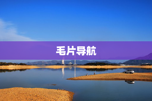 毛片导航