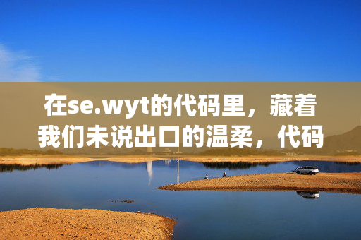 在se.wyt的代码里，藏着我们未说出口的温柔，代码里的未说出口温柔