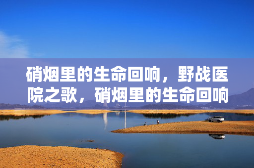 硝烟里的生命回响,野战医院之歌,硝烟里的生命回响,野战医院之歌 硝烟里的生命回响,野战医院之歌,硝烟里的生命回响,野战医院之歌