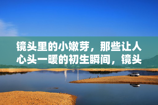 镜头里的小嫩芽,那些让人心头一暖的初生瞬间,镜头里的初生暖芽 镜头里的小嫩芽,那些让人心头一暖的初生瞬间,镜头里的初生暖芽
