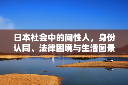 日本社会中的间性人,身份认同、法律困境与生活图景,日本间性人,身份认同、法律困境与生活图景 日本社会中的间性人,身份认同、法律困境与生活图景,日本间性人,身份认同、法律困境与生活图景
