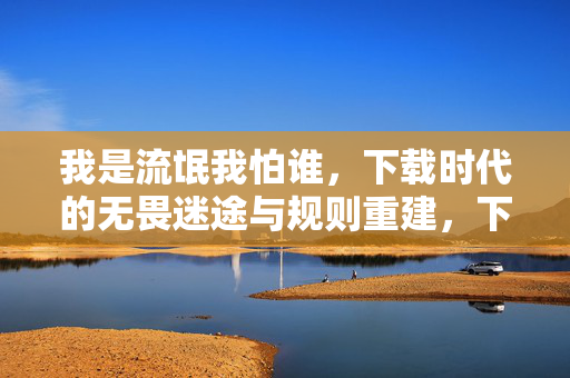 我是流氓我怕谁,下载时代的无畏迷途与规则重建,下载时代,无畏迷途与规则重建 我是流氓我怕谁,下载时代的无畏迷途与规则重建,下载时代,无畏迷途与规则重建