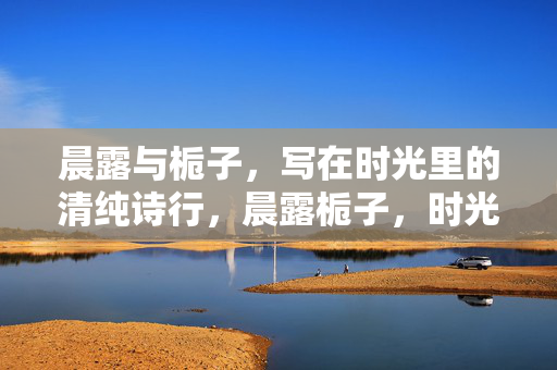 晨露与栀子,写在时光里的清纯诗行,晨露栀子,时光的清纯诗行 晨露与栀子,写在时光里的清纯诗行,晨露栀子,时光的清纯诗行