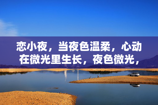 恋小夜,当夜色温柔,心动在微光里生长,夜色微光,恋小夜心动生长 恋小夜,当夜色温柔,心动在微光里生长,夜色微光,恋小夜心动生长