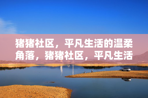 猪猪社区，平凡生活的温柔角落，猪猪社区，平凡生活的温柔角落