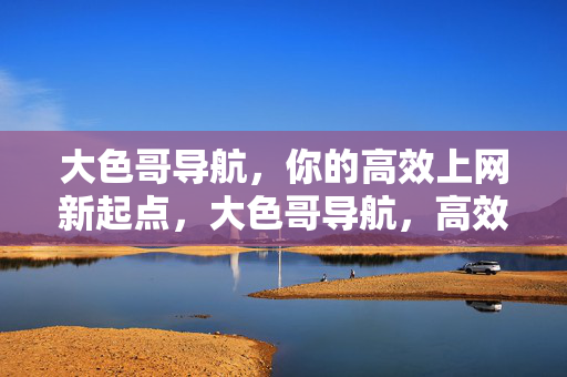 大色哥导航，你的高效上网新起点，大色哥导航，高效上网新起点