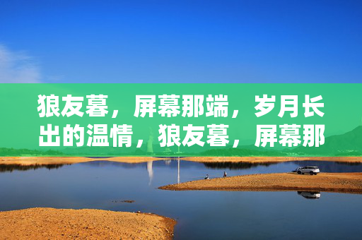 狼友暮，屏幕那端，岁月长出的温情，狼友暮，屏幕那端，岁月长出的温情