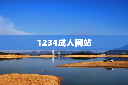 1234成人网站