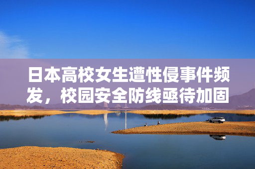 日本高校女生遭性侵事件频发，校园安全防线亟待加固，日本高校女生性侵事件频发 校园安全防线亟待加固