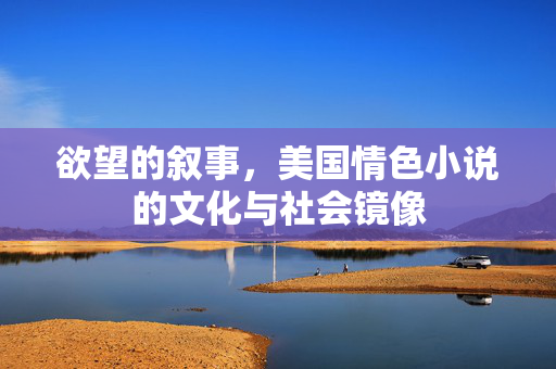 欲望的叙事，美国情色小说的文化与社会镜像