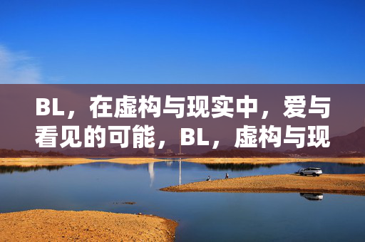 BL，在虚构与现实中，爱与看见的可能，BL，虚构与现实中的爱与看见