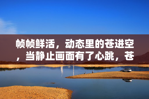 帧帧鲜活，动态里的苍进空，当静止画面有了心跳，苍进空，帧帧鲜活，静止有心跳
