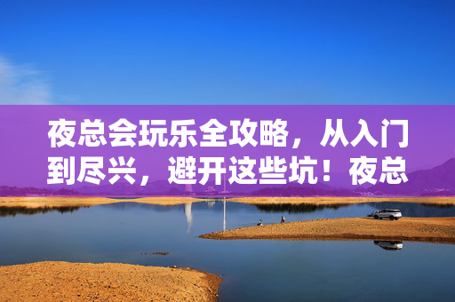 夜总会玩乐全攻略，从入门到尽兴，避开这些坑！夜总会玩乐避坑全攻略，从入门到尽兴