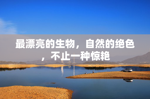 最漂亮的生物，自然的绝色，不止一种惊艳