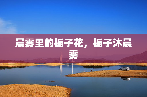 晨雾里的栀子花，栀子沐晨雾