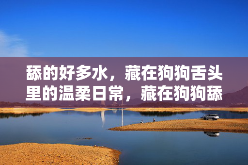 舔的好多水，藏在狗狗舌头里的温柔日常，藏在狗狗舔水里的温柔日常