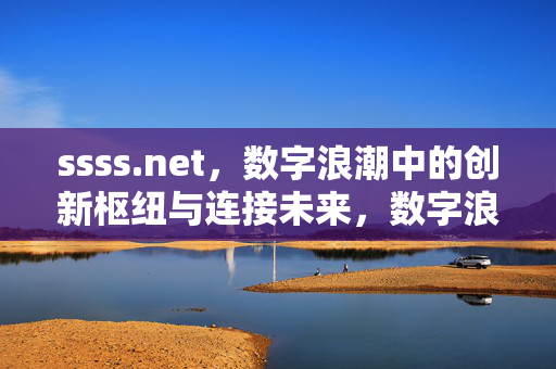 ssss.net，数字浪潮中的创新枢纽与连接未来，数字浪潮中的创新枢纽，ssss.net连接未来