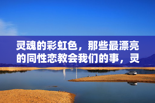 灵魂的彩虹色，那些最漂亮的同性恋教会我们的事，灵魂的彩虹色，同性教会我们的事