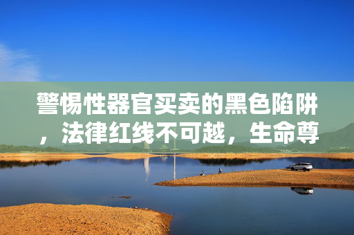 警惕性器官买卖的黑色陷阱，法律红线不可越，生命尊严不容践踏，警惕性器官买卖黑色陷阱，法律红线不可越，生命尊严不容践踏