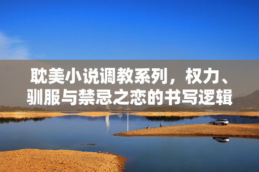 耽美小说调教系列，权力、驯服与禁忌之恋的书写逻辑，权力规训与禁忌之恋，耽美小说调教系列的书写逻辑